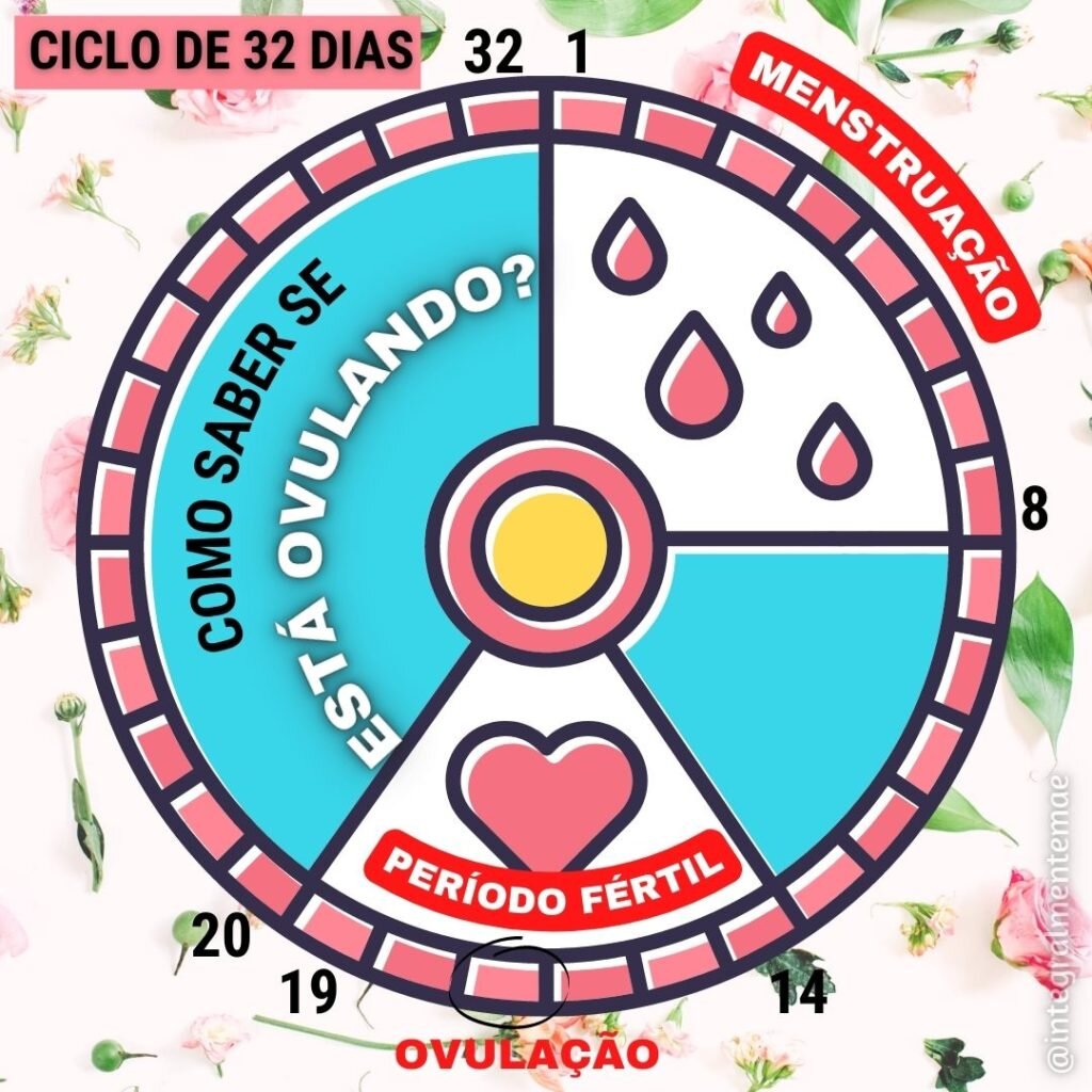 tabela-ciclo-menstrual
